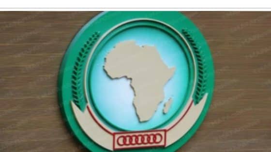 وفقا للرؤية الملكية المتبصرة، المغرب يجعل من التعليم ركيزة استراتيجية للتعاون جنوب-جنوب