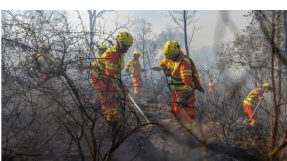 حرائق الغابات تعمق هشاشة القرى الجبلية بالشمال ومتضررون ينشدون تعويض الخسائر