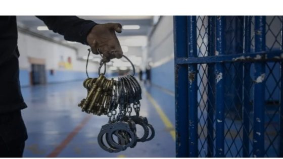 قانون العقوبات البديلة.. انطلاق تقديم الطلبات من قبل أسر السجناء