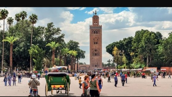 قطاع السياحة يواصل نموه خلال 2025