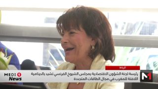 رئيسة لجنة الشؤون الاقتصادية بمجلس الشيوخ الفرنسي تشيد بالدينامية اللافتة للمغرب في الطاقات المتجددة