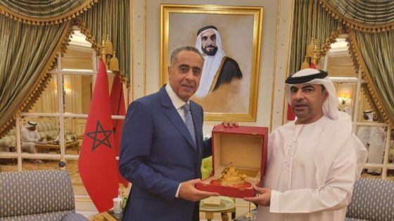 حموشي يجري زيارة عمل إلى الإمارات العربية المتحدة