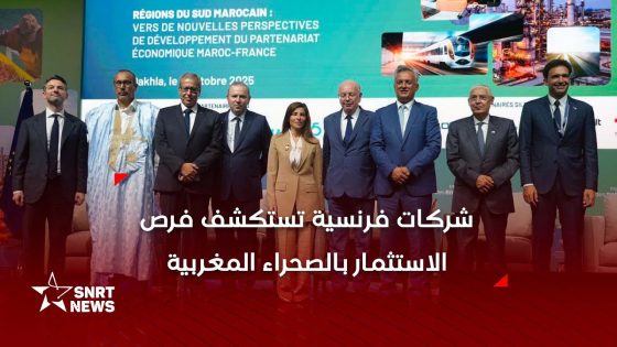 من الداخلة.. شركات فرنسية تستكشف فرص الاستثمار بالصحراء المغربية