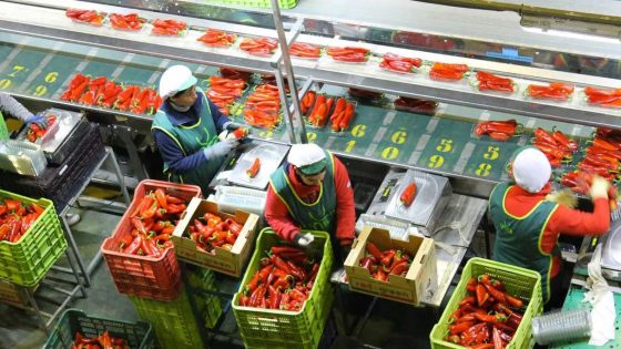 إسبانيا تؤدي للمغرب مليار يورو في 8 أشهر مقابل واردات الفواكه والخضر