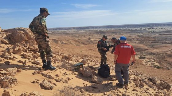 الأمم المتحدة تشيد بجهود المغرب في إزالة الألغام وتؤكد دورها في تعزيز الأمن والمسار السياسي