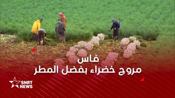 حقول فاس . إخضرار وتسريع لعملية الزرع المباشر