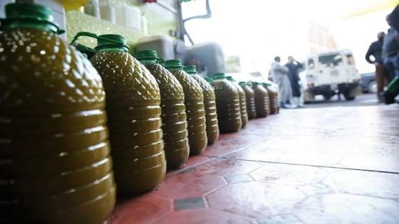 تهريب زيت الزيتون يعود بقوة عبر ميناء بني أنصار وسط خصاص وارتفاع الأسعار