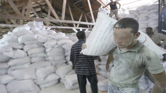 مجلس المنافسة يدق ناقوس الخطر: تمركز مقلق في قطاع المطاحن وتشوهات عميقة في نظام دعم القمح اللين