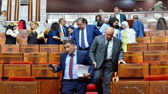 المعارضة تتحرك لإسقاط قانون المجلس الوطني للصحافة أمام المحكمة الدستورية