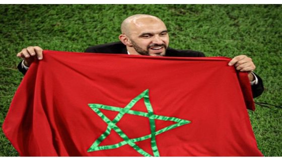 ماذا قال الركراكي عن تأهل الأسود لنهائي الكان وإقصاء منتخب نيجيريا؟