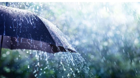 مقاييس الأمطار المسجلة بالمملكة خلال الـ24 ساعة الماضية