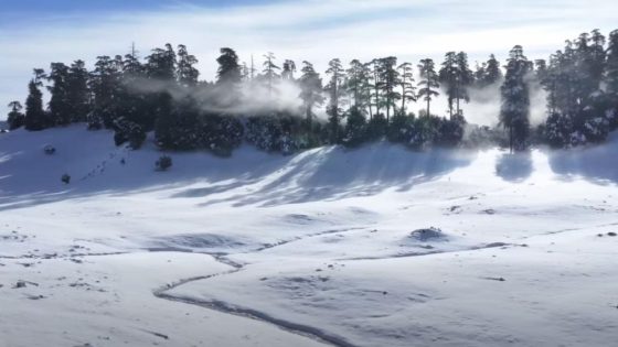 الثلوج تعود لتكسو قمم خنيفرة وتعيد الحياة لغابات الأرز