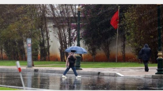 أمطار قوية ورياح عاصفية الأربعاء والخميس بعدد من مناطق المملكة (نشرة إنذارية)