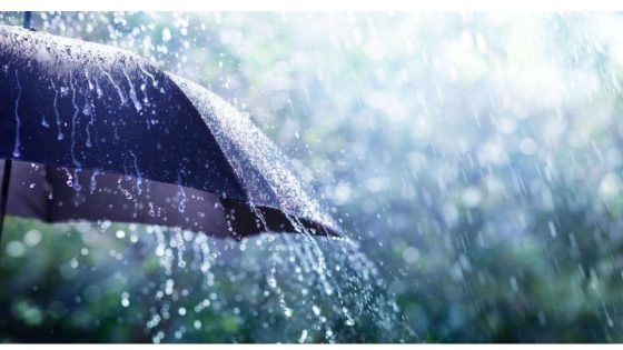 مقاييس الأمطار المسجلة بالمملكة خلال الـ 24 ساعة الماضية