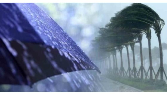 طقس الاثنين .. استمرار نزول الأمطار والرياح القوية بعدة مناطق