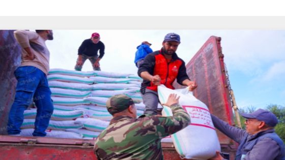 سيدي سليمان .. توزيع الشعير والأعلاف المركبة لفائدة مربي الماشية المتضررين من الفيضانات يشكل مرحلة أولى ستعقبها أشطر أخرى من الدعم (مسؤول)