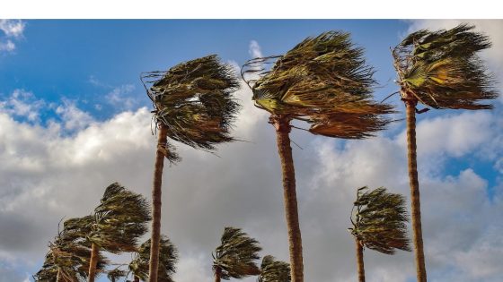 هبات رياح قوية مصحوبة بعواصف رملية أو تطاير الغبار من الجمعة إلى السبت بعدد من مناطق المملكة (نشرة إنذارية)