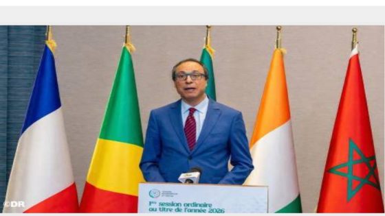 كوتونو.. رئيس المجلس الاقتصادي والاجتماعي والبيئي يدعو إلى تعزيز دور المجالس الاقتصادية والاجتماعية في إفريقيا