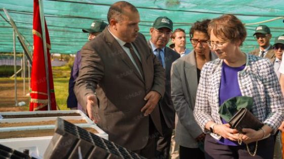 الرباط.. استعراض التجربة المغربية في التدبير المستدام للموارد الغابوية