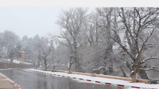 موجة برد وأمطار قوية نسبيا مع احتمال حدوث عواصف رعدية وتساقطات ثلجية من الجمعة إلى الأحد بعدد من مناطق المملكة (نشرة إنذارية)