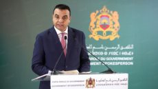 1,15 مليون كساب استفادوا من الشطر الأول من البرنامج الوطني لإعادة تشكيل القطيع الوطني (السيد بايتاس)