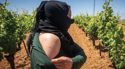 عاملات الفراولة: نتعرض للاغتصاب والاتجار بالبشر أمام تجاهل الحكومة المغربية والاسبانية