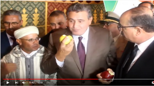 أخنوش: التفاح ثمنو طايح خاصكم طلعوه هادشي ماشي معقول (فيديو)