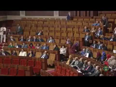 “أنا مَاشِي بْهيمة” تُثير البرلمانيين وتُخلق ضجة تحت قبة البرلمان وتُشعل الفيسبوك (فيديو)