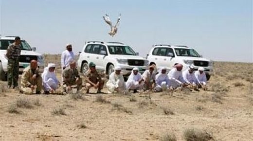 أمراء سعوديون وقطريون وإماراتيون يتقاطرون على جنوب المغرب لصيد الصقور والنسور والحبار.. وهذه هي التفاصيل!