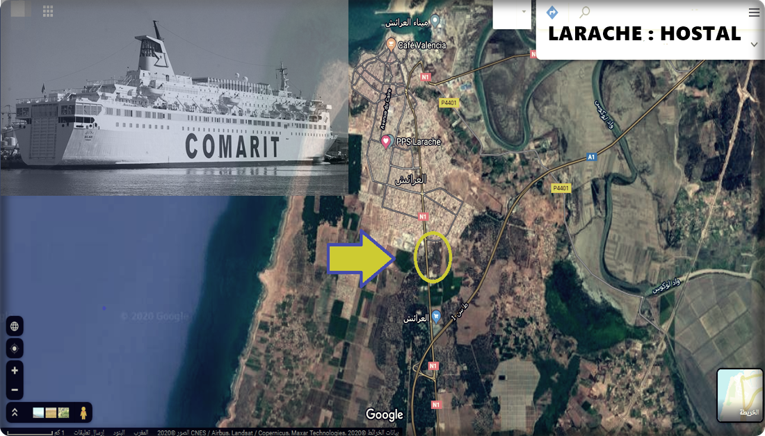 أيـن “كـومـاريـت” مـن غـابـة الأسـطـال بـالـعـرائـش؟!