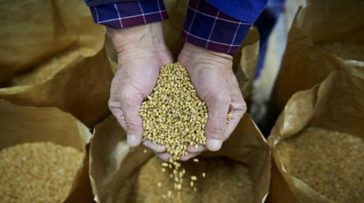 الجفاف يلهب أسعار الحبوب والقطاني والأعلاف بالمدن المغربية