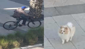 أبوزعيتر طغى وْولا كيصيفط ولاد الشعب للحبس!.. أول خروج إعلامي لوالد والدة الشاب المُعتقل بعد اتهامه بسرقة كلب أبو زعيتر (فيديو)