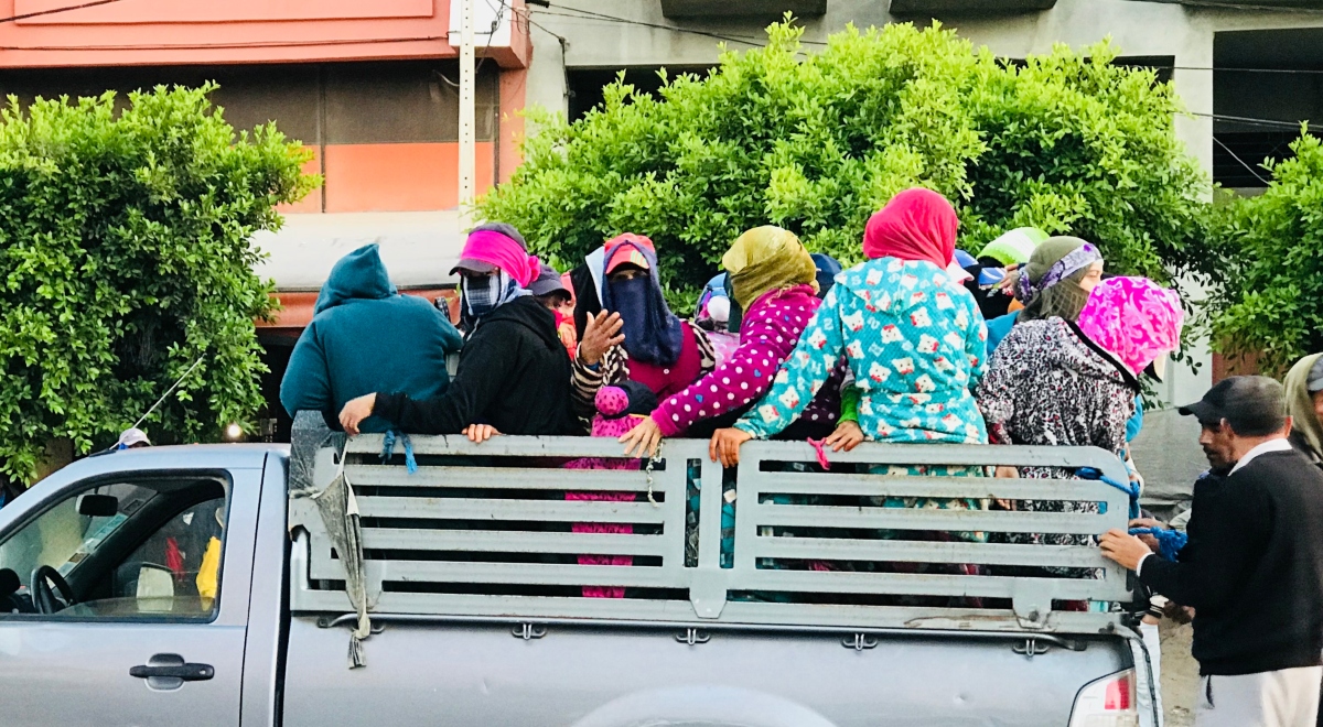 في عز أزمة كورونا.. حملة شعبية تعري معاناة العاملات الزراعيات في المغرب