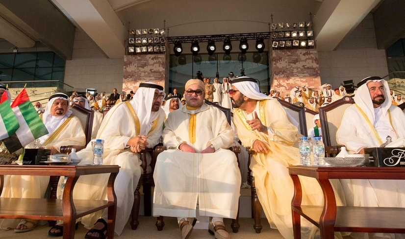 هجمات الذباب الإلكتروني الإماراتي ضد “مملكة محمد السادس”.. هكذا حققت نتائج عكسية!