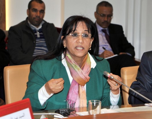 المجلس الوطني لحقوق الانسان يقصف وزير العدل بخصوص مشروع قانون “تكميم الأفواه”: سنتبنى مفهوم الدولة المدافعة عن حريات وحقوق ومصالح المواطنين وشبكات التواصل الاجتماعي فضاء جديد حاضن لحرية الرأي والتعبير