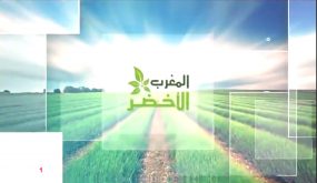 “المغرب الأخضر” .. مياه السقي على رأس أولويات المخططات الفلاحية