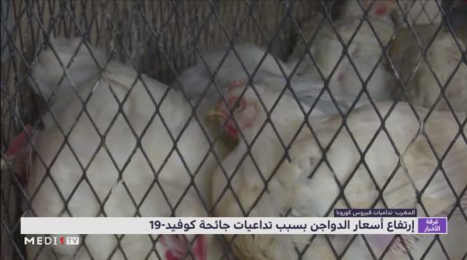 إرتفاع أسعار الدواجن بسبب تداعيات جائحة كوفيد-19