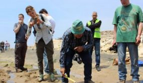 اكتشاف حياة ميكروبية مقاومة للظروف القاسية بالمغرب يعود تاريخها إلى 570 مليون سنة