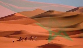 ما سبب تأخير تعيين مبعوث أممي جديد إلى الصحراء خلفا لهورست كولر؟
