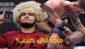 حبيب يعلق على خسارة أبو زعيتر بالضربة القاضية