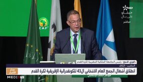 الاتحاد الإفريقي لكرة القدم ينتخب الجمعة رئيسا جديدا