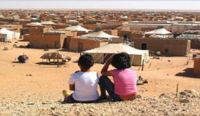 جنيف.. الدعوة إلى الضغط على الجزائر لوقف تجنيد الأطفال من قبل البوليساريو
