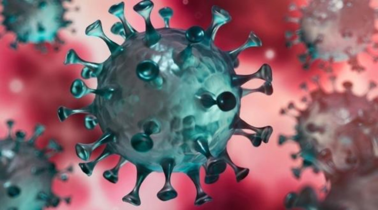 تفاصيل بروتوكول جديد وإجراءات صارمة لمواجهة السلالات المقلقة بالمغرب