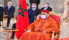 التغطة الاجتماعية.. في الحاجة إلى نخب مؤهلة لحمل ثقل المشروع الملكي!