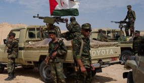 هذه هي المخاوف الأمينة التي يثيرها تقاطع الجزائر وإيران حول “البوليساريو”!