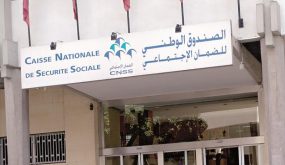 انطلاق عملية تسجيل الأشخاص المعنيين بالمساهمة المهنية الموحدة في الصندوق الوطني للضمان الاجتماعي