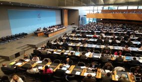 كواليس مفاوضات تجارية في منظمة التجارة العالمية والمغرب يدعو إلى تسويات ملموسة وقابلة للتحقيق