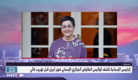 صحيفة إسبانية تكشف كواليس التفاوض الجزائري الإسباني قبل تهريب المدعو غالي