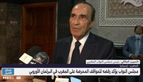 المالكي ردا على قرار البرلمان الأوروبي بشأن المغرب: إسبانيا فشلت في محاولتها توظيف ملف القاصرين غير المرفوقين