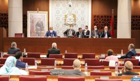 تفاصيل مصادقة لجنة الداخلية بمجلس النواب على “مشروع قانون القنب الهندي” في قراءة ثانية